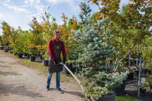 Best Lot and Land Clearing  in Upper Arlington, OH